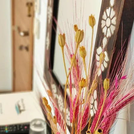 Homestay Marmara