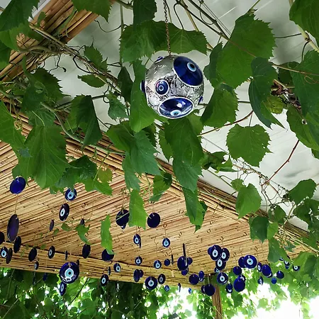 Marmara Homestay