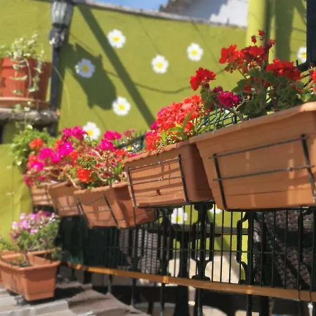 Marmara Homestay Istanbul